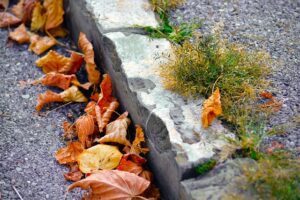 concrete Curb repair near me